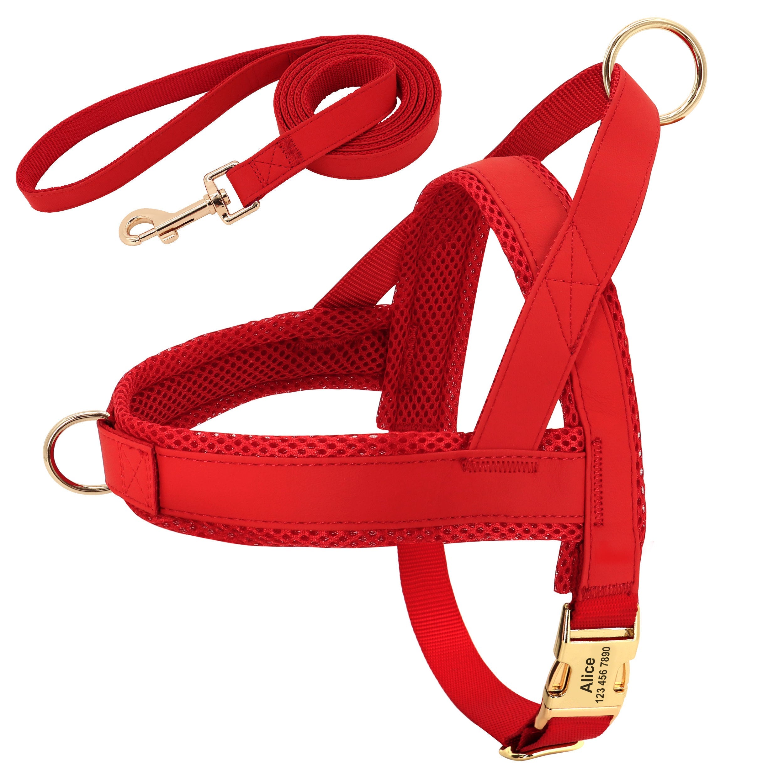 The Perfect Personalized Dog Harness Leash Set for Your Furry Friend